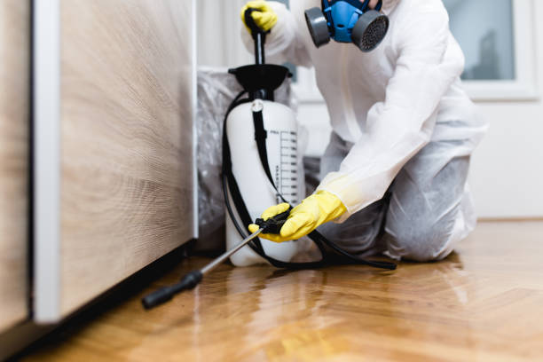 Best Wasp Removal Services  in Woodlake, CA