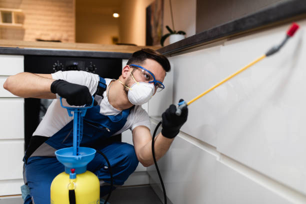 Best Pest Control for Businesses  in Woodlake, CA