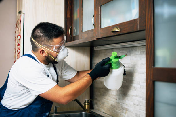 Best Pest Control for Homes  in Woodlake, CA
