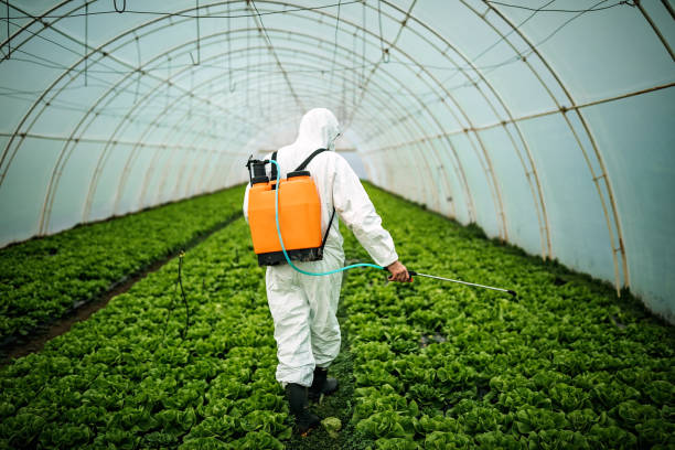 Best Pest Removal Services  in Woodlake, CA