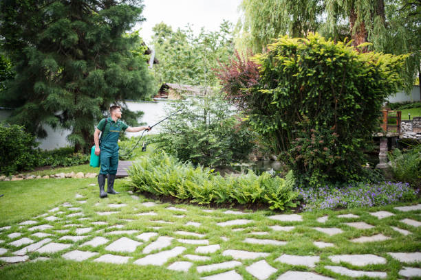 Best Insect Control  in Woodlake, CA
