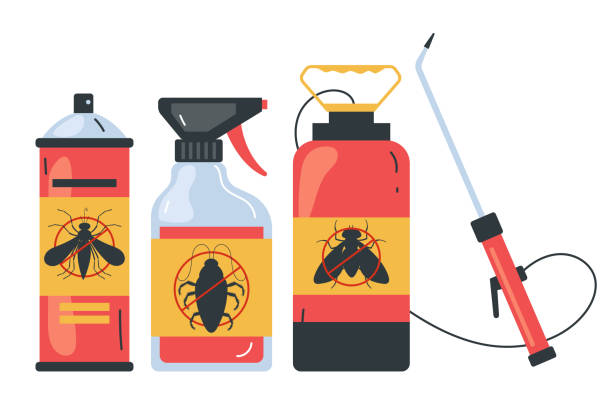 Wasp Removal Services in Woodlake, CA