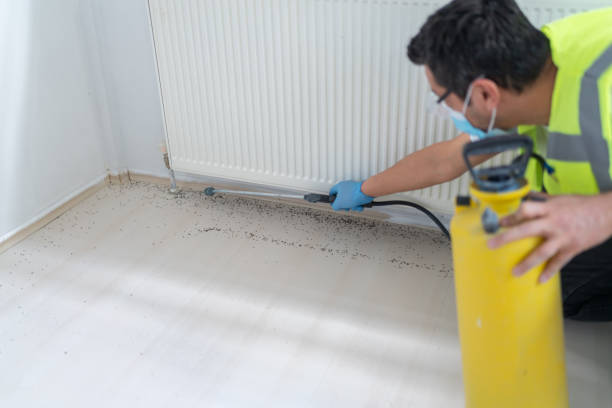 Best Commercial Pest Control Services  in Woodlake, CA