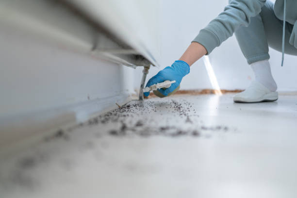 Best Mosquito Control Services  in Woodlake, CA